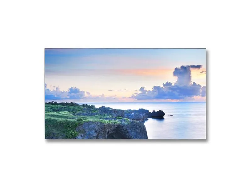 46 ZOLL LED LCD – NEC MULTISYNC X463UN